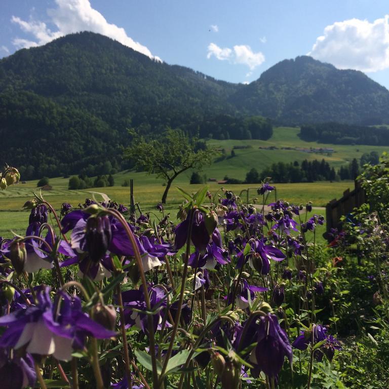 Vila Schifterhof Ruhpolding Exteriér fotografie