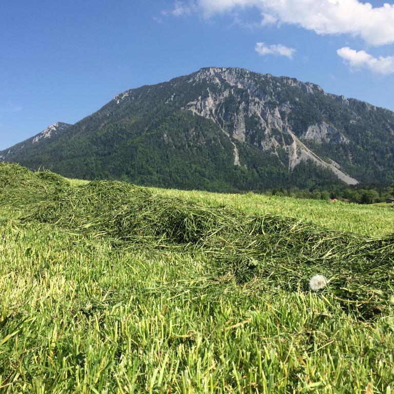 Vila Schifterhof Ruhpolding Exteriér fotografie